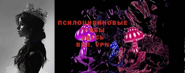 твердый Михайлов