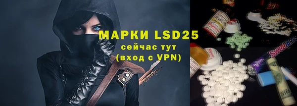 твердый Михайлов