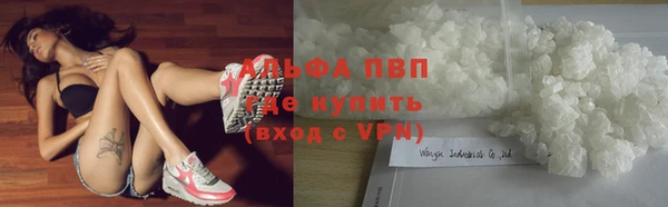 твердый Михайлов