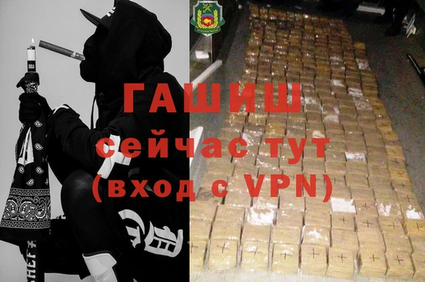 твердый Михайлов