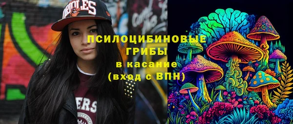 сатива Надым