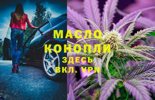 твердый Михайлов