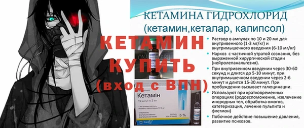 шишки Наволоки